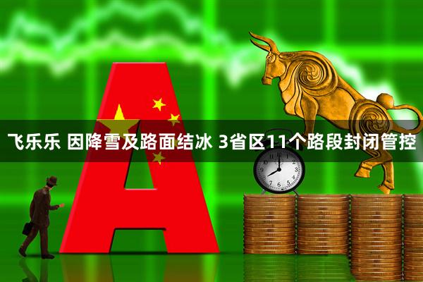 飞乐乐 因降雪及路面结冰 3省区11个路段封闭管控