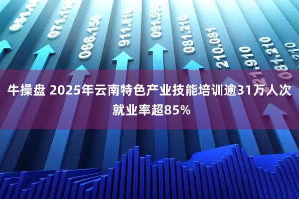 牛操盘 2025年云南特色产业技能培训逾31万人次 就业率超85%