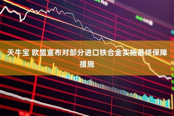 天牛宝 欧盟宣布对部分进口铁合金实施最终保障措施
